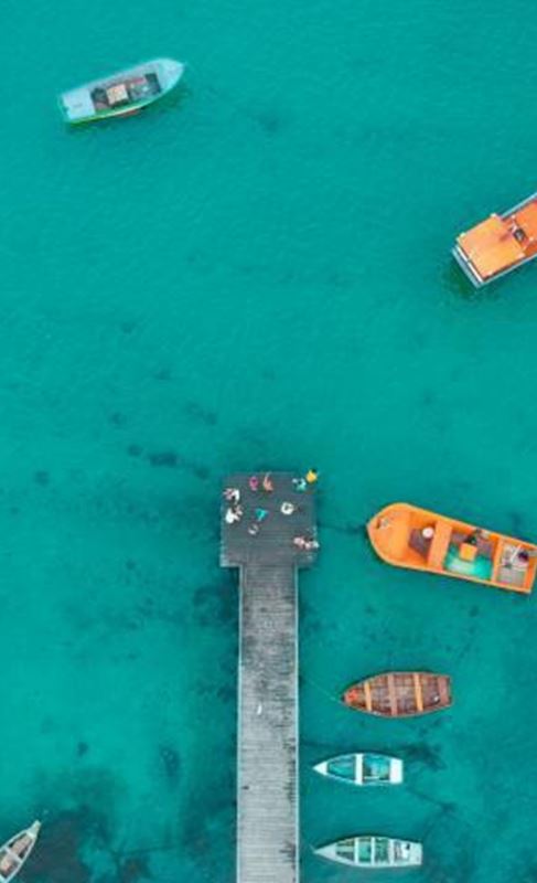 placingpictureplaceholder