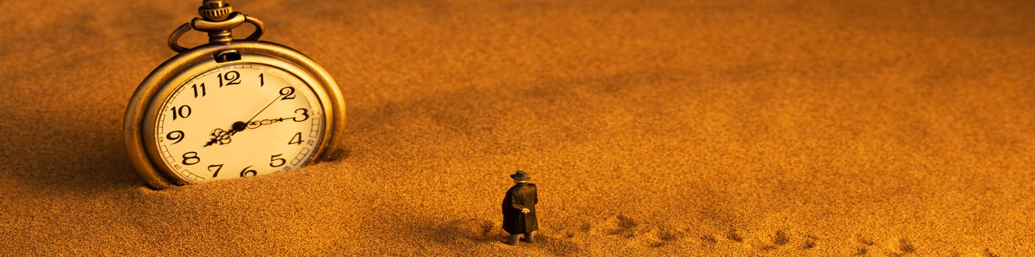 &pky290_sjzg_VCG211256762793&2&