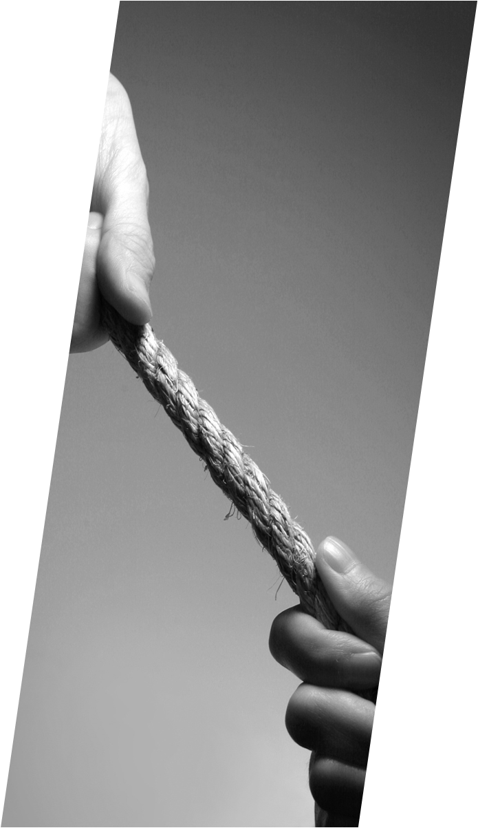 &pky100_sjzg_VCG41157283678&2&