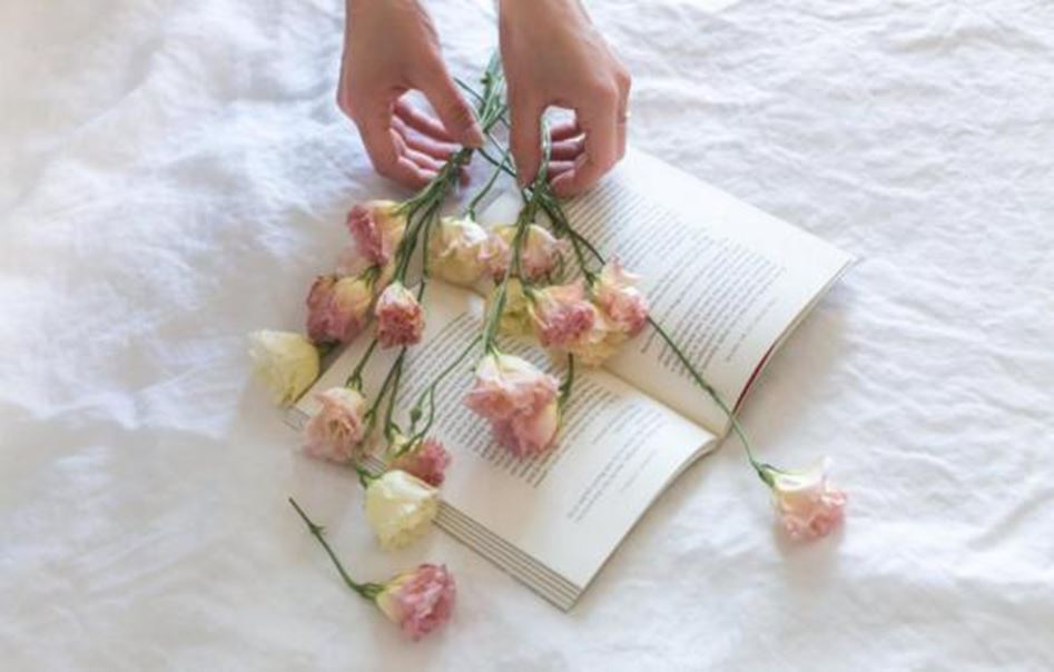 C:\Users\lenovo\Desktop\20200203\pexels-photo-545030.jpegpexels-photo-545030