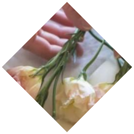 C:\Users\lenovo\Desktop\20200203\pexels-photo-545030.jpegpexels-photo-545030