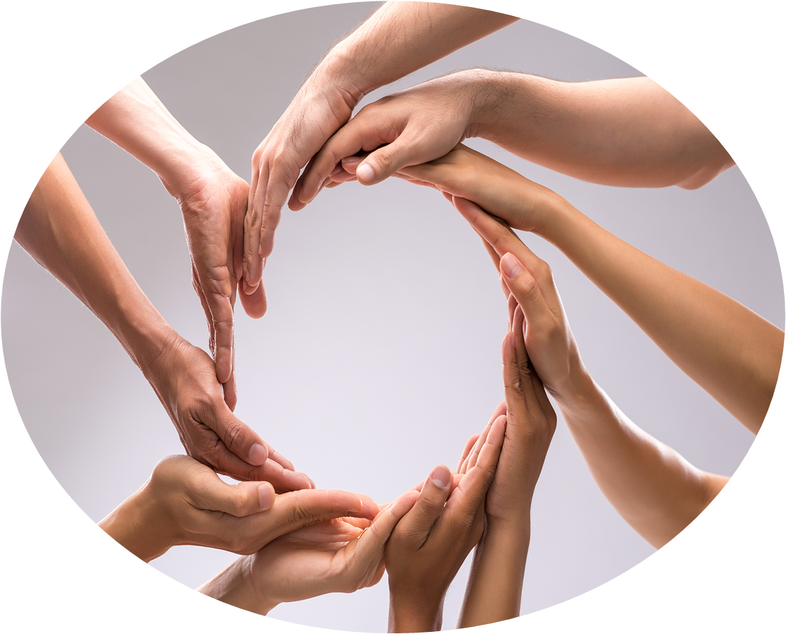 &pky250_sjzg_VCG41N526896295&2&