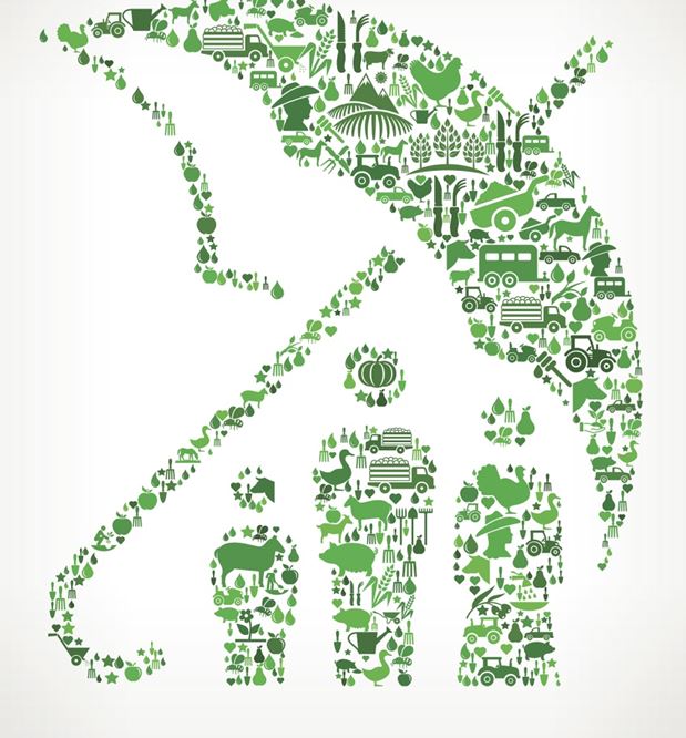 &pky160_sjzg_VCG41579124744&2&