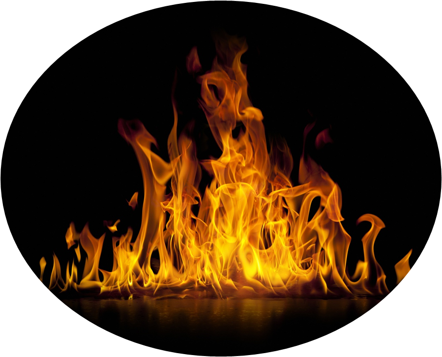 &pky130_sjzg_VCG41183862714&2&