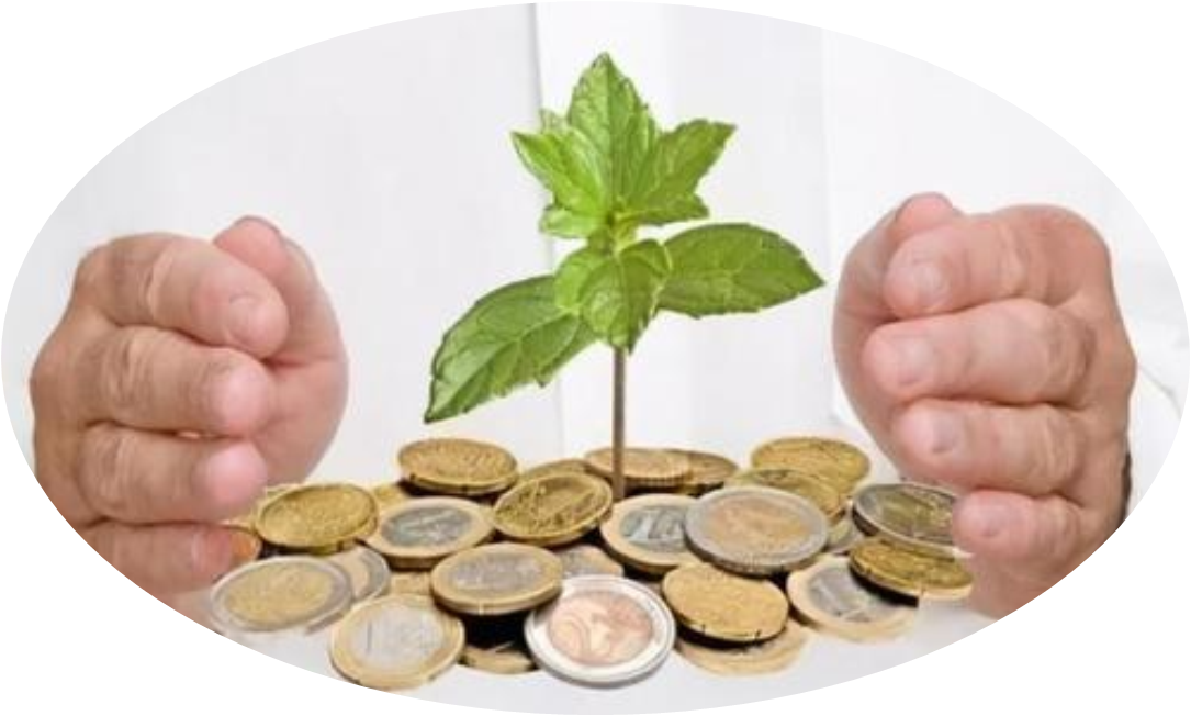 u=3312229288,3610952711&fm=11&gp=0