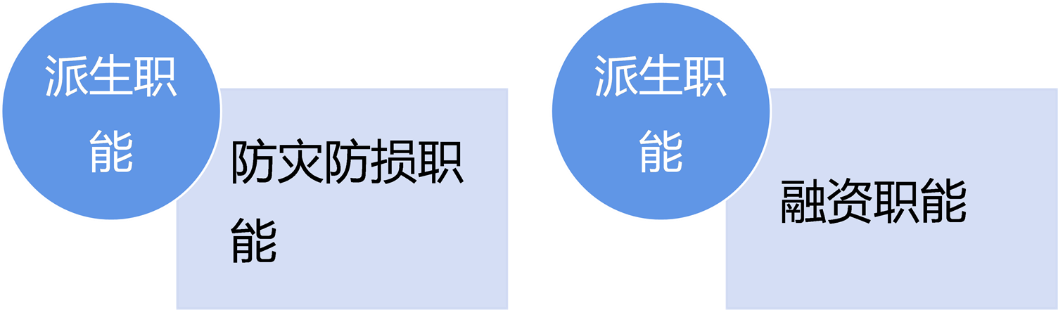 派生职能	防灾防损职能	派生职能	融资职能