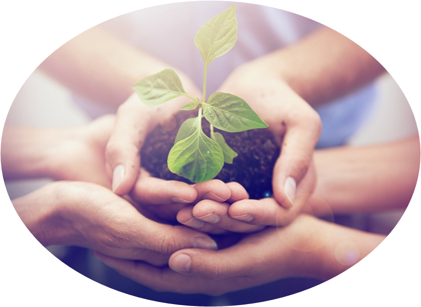 &pky170_sjzg_VCG41467782848&2&