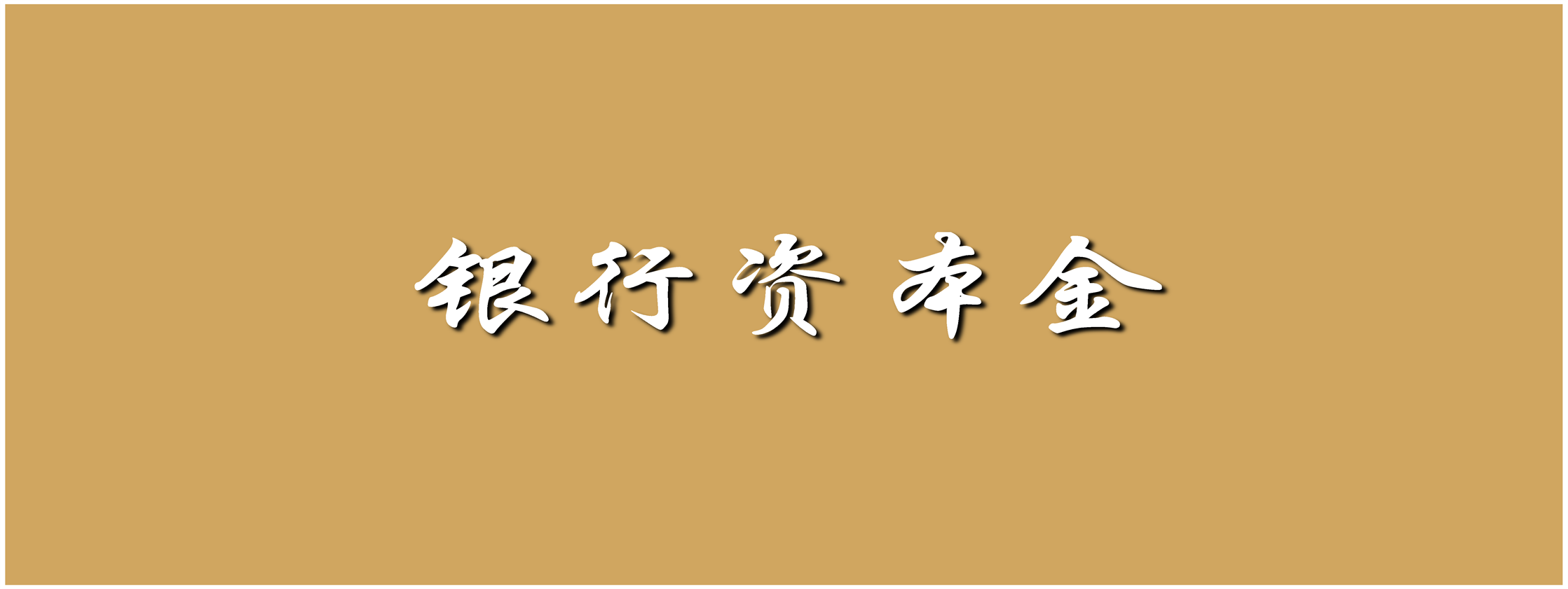 银行资本金