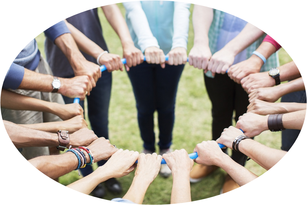 &pky350_sjzg_VCG21gic17351707&2&