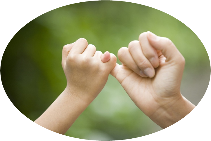 &pky140_sjzg_VCG41106535542&2&