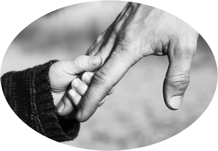 &pky120_sjzg_VCG41184837026&2&